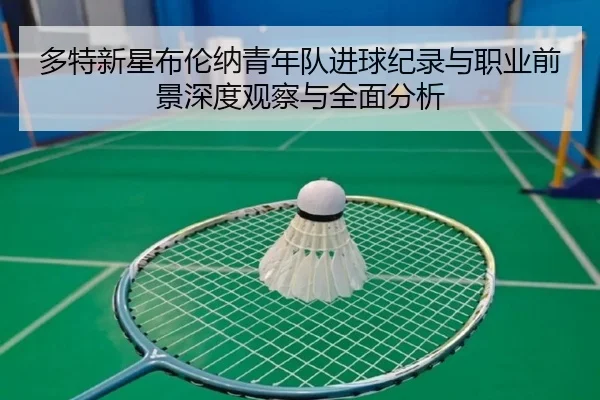 多特新星布伦纳青年队进球纪录与职业前景深度观察与全面分析