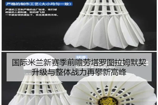 国际米兰新赛季前瞻劳塔罗图拉姆默契升级与整体战力再攀新高峰