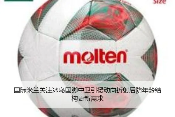 国际米兰关注冰岛国脚中卫引援动向折射后防年龄结构更新需求